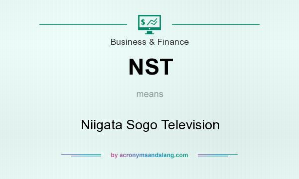 What does NST mean? It stands for Niigata Sogo Television