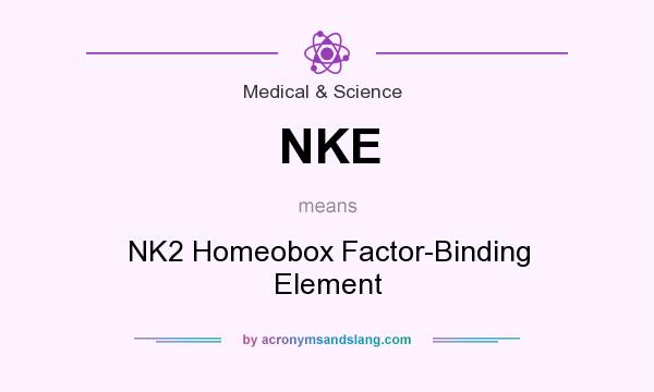 What does NKE mean? It stands for NK2 Homeobox Factor-Binding Element