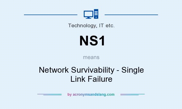 What does NS1 mean? It stands for Network Survivability - Single Link Failure