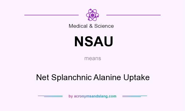 What does NSAU mean? It stands for Net Splanchnic Alanine Uptake
