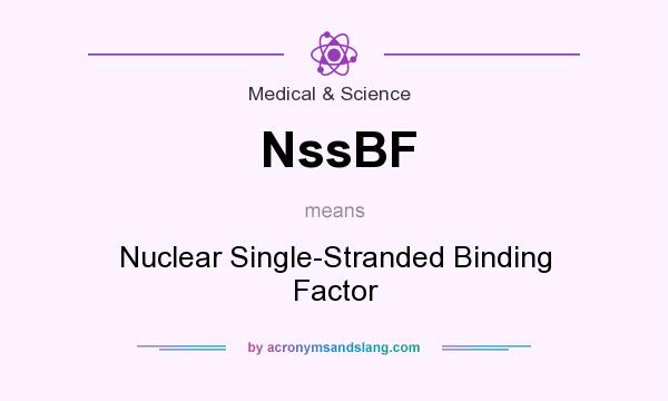 What does NssBF mean? It stands for Nuclear Single-Stranded Binding Factor