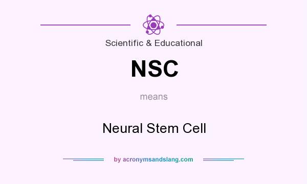 What does NSC mean? It stands for Neural Stem Cell