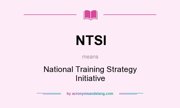 What does NTSI mean? It stands for National Training Strategy Initiative