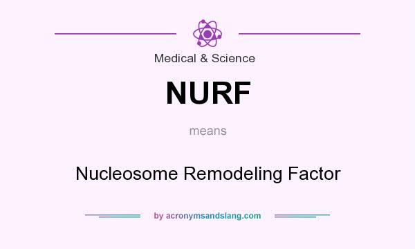 What does NURF mean? It stands for Nucleosome Remodeling Factor