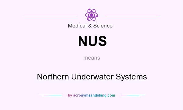 What does NUS mean? It stands for Northern Underwater Systems