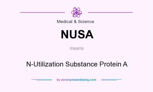 What does NUSA mean? It stands for N-Utilization Substance Protein A