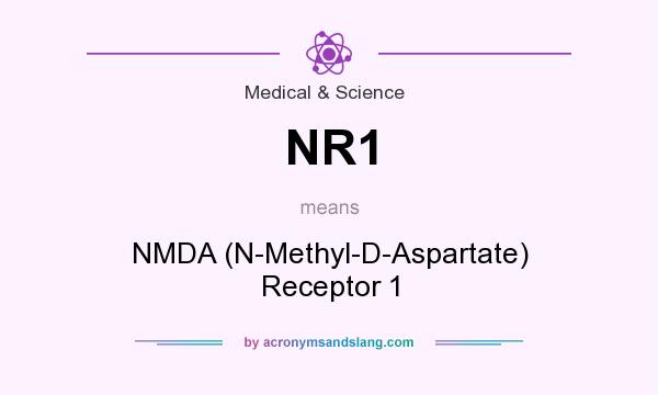 What does NR1 mean? It stands for NMDA (N-Methyl-D-Aspartate) Receptor 1