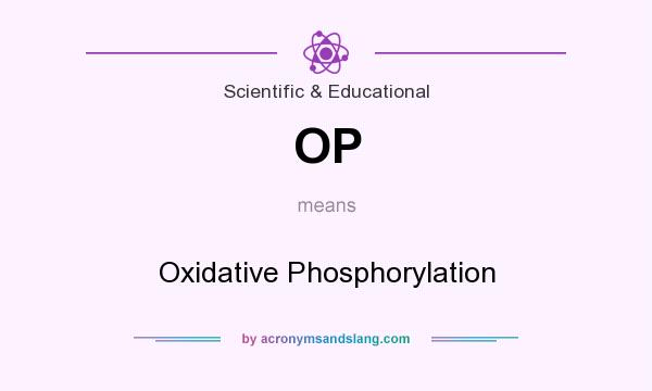 What does OP mean? It stands for Oxidative Phosphorylation
