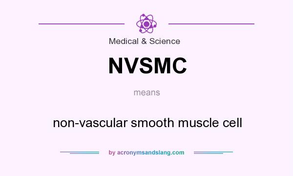 What does NVSMC mean? It stands for non-vascular smooth muscle cell