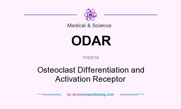 What does ODAR mean? It stands for Osteoclast Differentiation and Activation Receptor