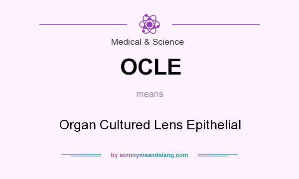 What does OCLE mean? It stands for Organ Cultured Lens Epithelial