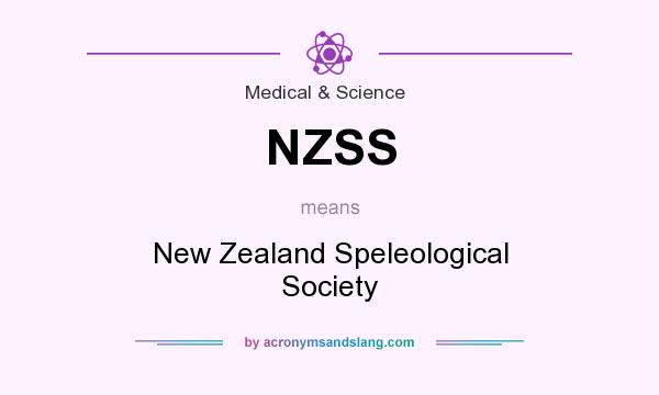 What does NZSS mean? It stands for New Zealand Speleological Society