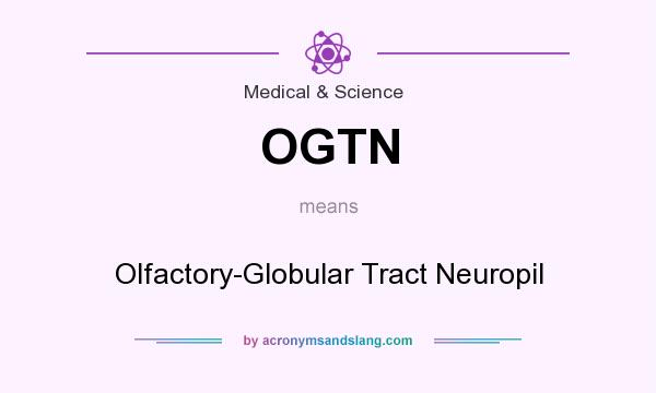What does OGTN mean? It stands for Olfactory-Globular Tract Neuropil