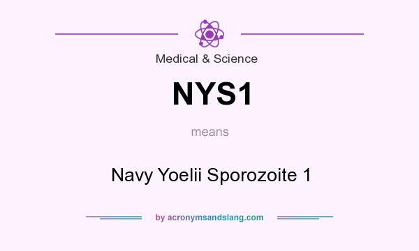 What does NYS1 mean? It stands for Navy Yoelii Sporozoite 1