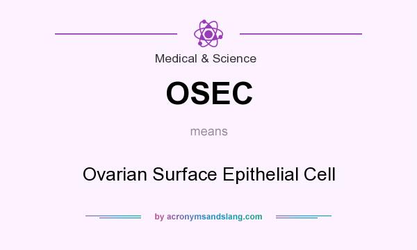 What does OSEC mean? It stands for Ovarian Surface Epithelial Cell