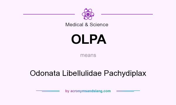 What does OLPA mean? It stands for Odonata Libellulidae Pachydiplax