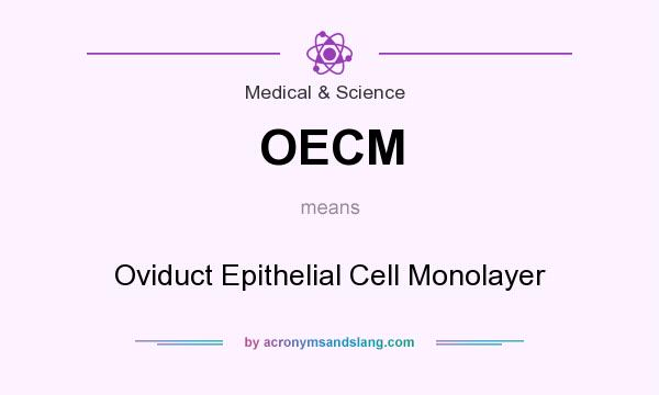 What does OECM mean? It stands for Oviduct Epithelial Cell Monolayer