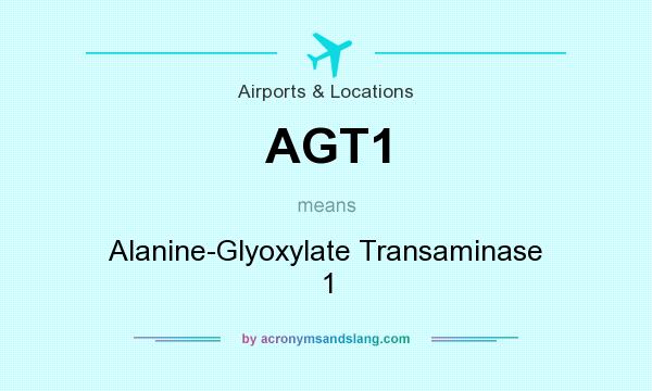 What does AGT1 mean? It stands for Alanine-Glyoxylate Transaminase 1