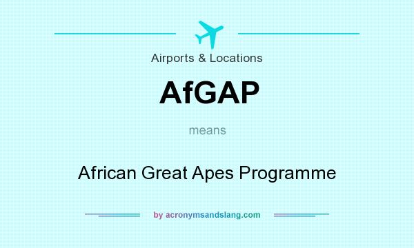 What does AfGAP mean? It stands for African Great Apes Programme