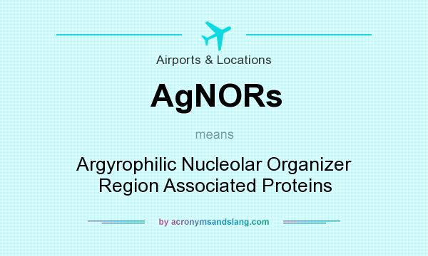What does AgNORs mean? It stands for Argyrophilic Nucleolar Organizer Region Associated Proteins