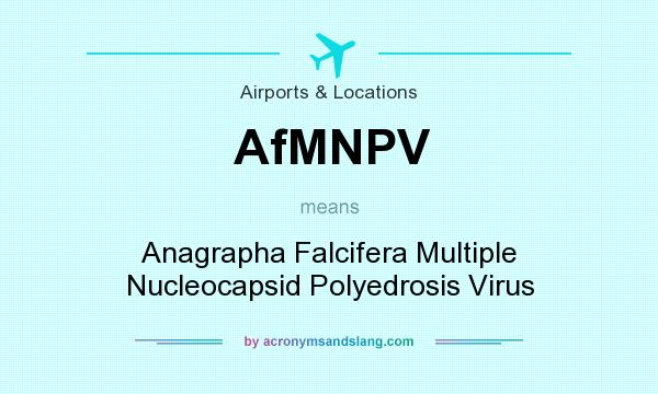 What does AfMNPV mean? It stands for Anagrapha Falcifera Multiple Nucleocapsid Polyedrosis Virus
