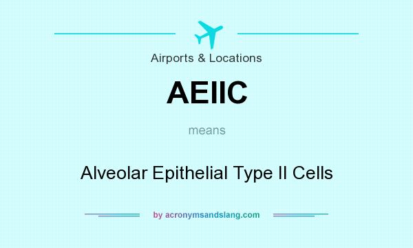 What does AEIIC mean? It stands for Alveolar Epithelial Type II Cells