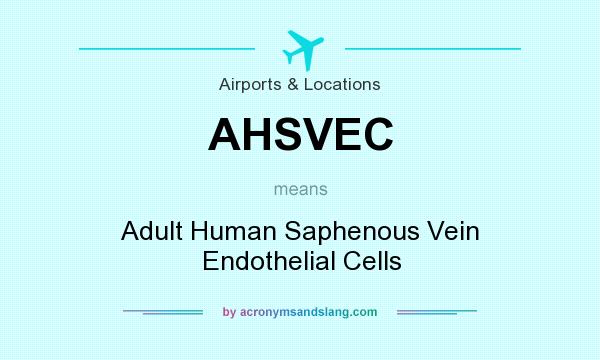 What does AHSVEC mean? It stands for Adult Human Saphenous Vein Endothelial Cells