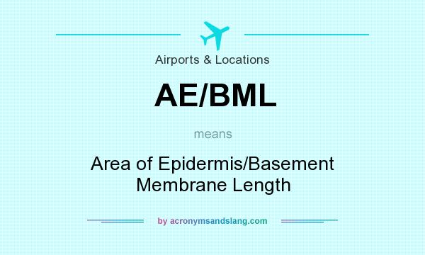 What does AE/BML mean? It stands for Area of Epidermis/Basement Membrane Length