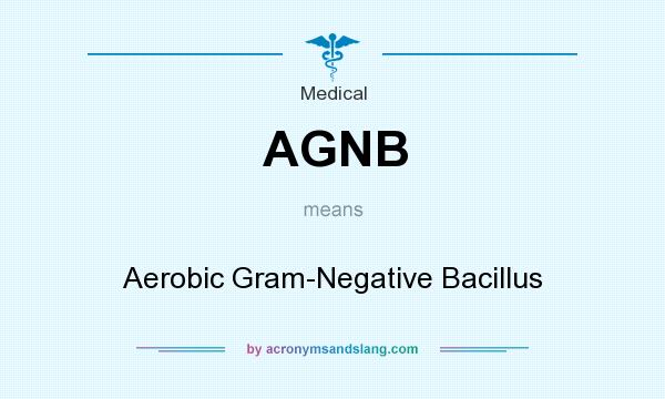 What does AGNB mean? It stands for Aerobic Gram-Negative Bacillus