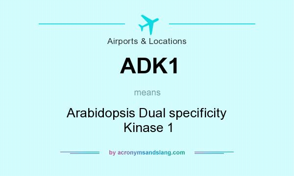What does ADK1 mean? It stands for Arabidopsis Dual specificity Kinase 1