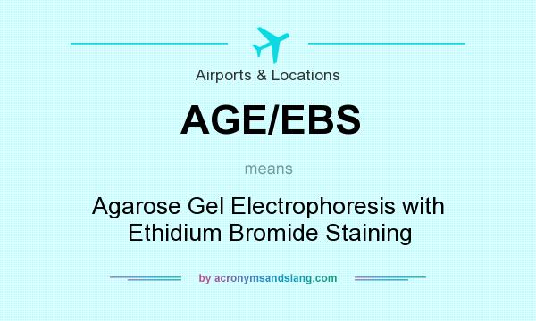 What does AGE/EBS mean? It stands for Agarose Gel Electrophoresis with Ethidium Bromide Staining