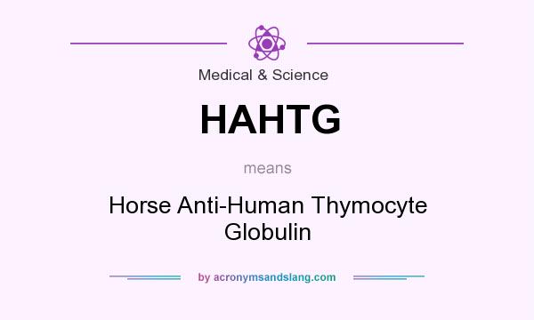 What does HAHTG mean? It stands for Horse Anti-Human Thymocyte Globulin
