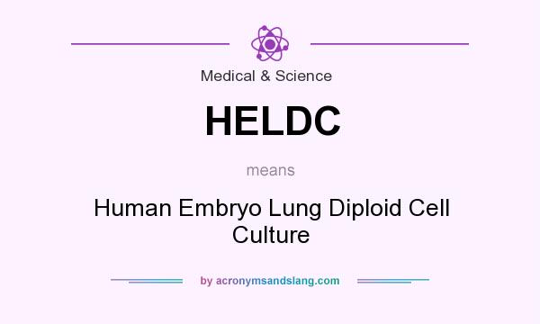 What does HELDC mean? It stands for Human Embryo Lung Diploid Cell Culture