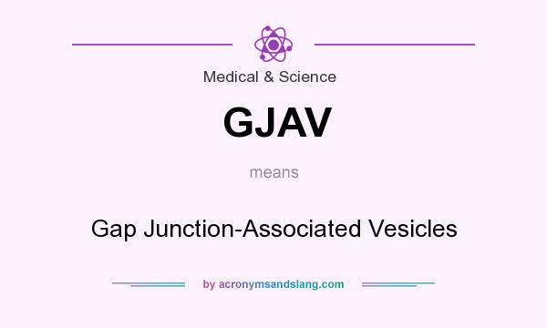 What does GJAV mean? It stands for Gap Junction-Associated Vesicles