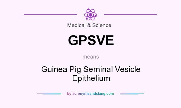 What does GPSVE mean? It stands for Guinea Pig Seminal Vesicle Epithelium