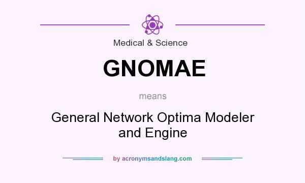 What does GNOMAE mean? It stands for General Network Optima Modeler and Engine