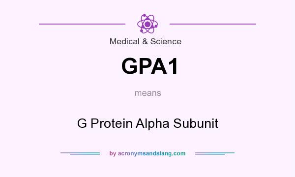 What does GPA1 mean? It stands for G Protein Alpha Subunit