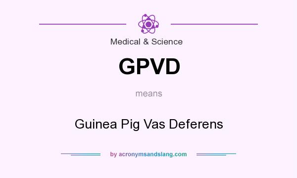 What does GPVD mean? It stands for Guinea Pig Vas Deferens