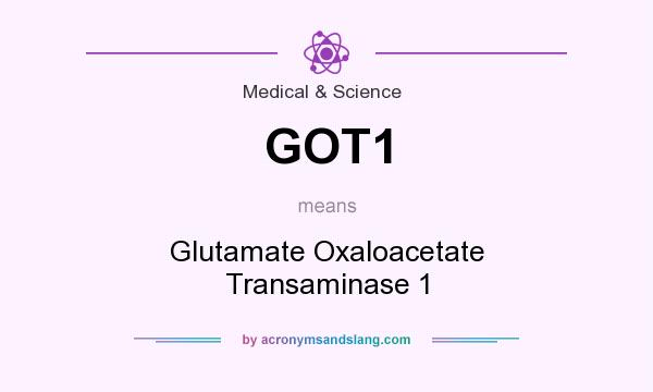What does GOT1 mean? It stands for Glutamate Oxaloacetate Transaminase 1