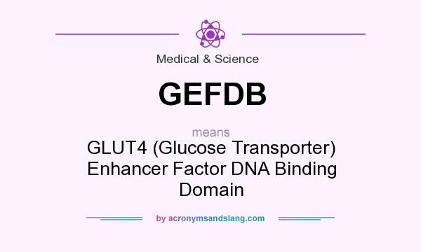 What does GEFDB mean? It stands for GLUT4 (Glucose Transporter) Enhancer Factor DNA Binding Domain