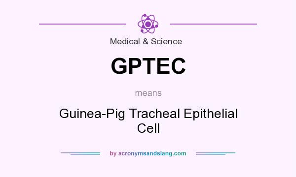 What does GPTEC mean? It stands for Guinea-Pig Tracheal Epithelial Cell
