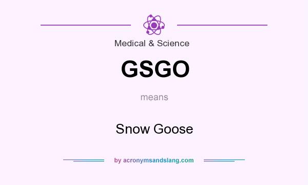 What does GSGO mean? It stands for Snow Goose