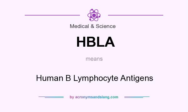 What does HBLA mean? It stands for Human B Lymphocyte Antigens