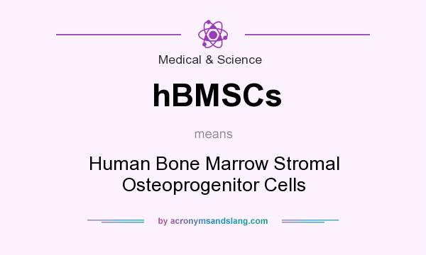 What does hBMSCs mean? It stands for Human Bone Marrow Stromal Osteoprogenitor Cells