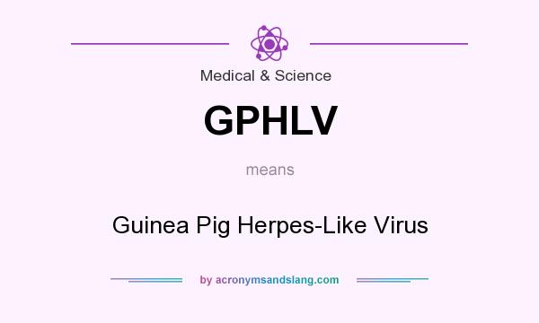 What does GPHLV mean? It stands for Guinea Pig Herpes-Like Virus