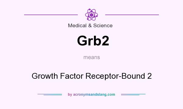 What does Grb2 mean? It stands for Growth Factor Receptor-Bound 2