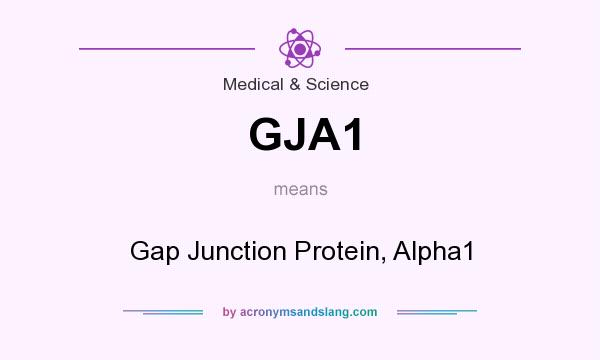 What does GJA1 mean? It stands for Gap Junction Protein, Alpha1