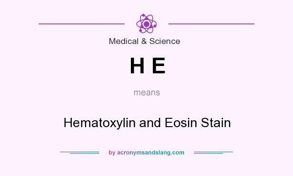 What Does H E Mean Definition Of H E H E Stands For Hematoxylin 