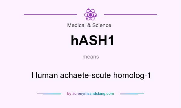 What does hASH1 mean? It stands for Human achaete-scute homolog-1