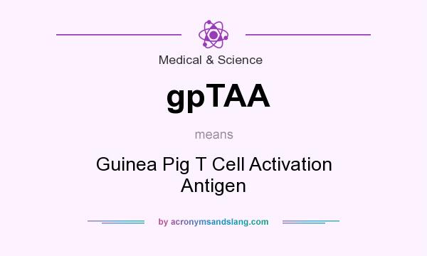 What does gpTAA mean? It stands for Guinea Pig T Cell Activation Antigen